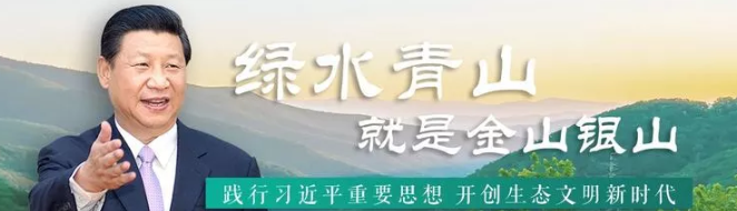 1533706171583.png 習(xí)近平.png